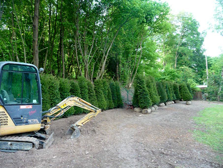 Mulchen, Baufeldrodung, Häckseldienst - machen wir für Sie