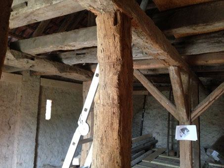 Sanierung von Holz durch Trocknen oder Austausch sowie chemischer und konstruktiver Holzschutz gegen Schädlingsbefall