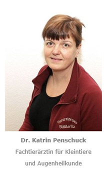 Frau Dr. Katrin Penschuck - Fachtierärztin für Kleintiere und Augenheilkunde Frau Dr. Katrin Penschuck - Fachtierärztin für Kleintiere und Augenheilkunde