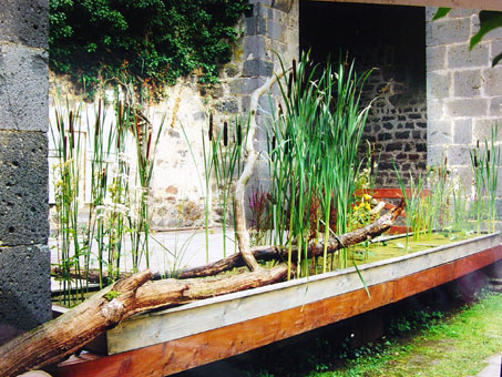 Gartengestaltung - wir beraten Sie gern Gartengestaltung - wir beraten Sie gern