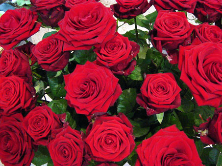 Blumen sorgen für einen glanzvollen Auftritt Blumen sorgen für einen glanzvollen Auftritt
