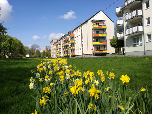 Kundenfoto 7 Eilenburger Wohnungsbau- und Verwaltungsgesellschaft mbH