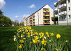 Lokale Empfehlung hagebaucentrum Torgau Baumarkt