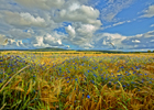 Lokale Empfehlung Landwirtschaftsbetrieb