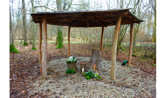 Grabstelle in einem Friedwald Grabstelle in einem Friedwald