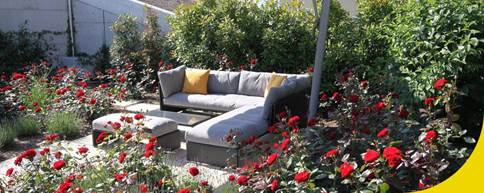 Angenehmer Blütenduft sollte zu allen romantischen Beet-Kombinationen dazugehören, die sich in Nähe der Terrasse oder des Gartensitzplatzes befinden.