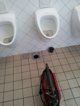 Urinal / Toilette verstopft? Wir finden das Problem!