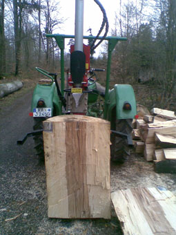 Bild 3 Baumpflege Renz in Karlsbad