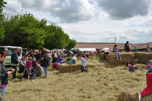 Hoffest auf dem Landgut Nemt nicht nur für Kinder, auch Erwachsene erfreuen sich daran Hoffest auf dem Landgut Nemt nicht nur für Kinder, auch Erwachsene erfreuen sich daran