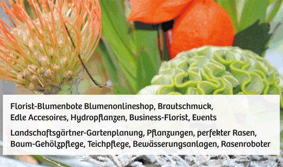 Wir sind Florist, Blumenbote haben einen Blumenonlineshop und vieles mehr Wir sind Florist, Blumenbote haben einen Blumenonlineshop und vieles mehr