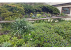 Kundenbild groß 3 GREEN4LIVE Garten und Baudienstleistungen