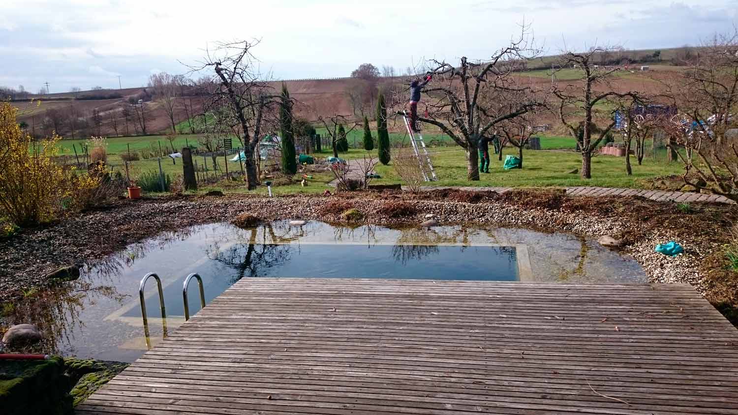 Schwimmteich dem natürlichen Umfeld angepasst