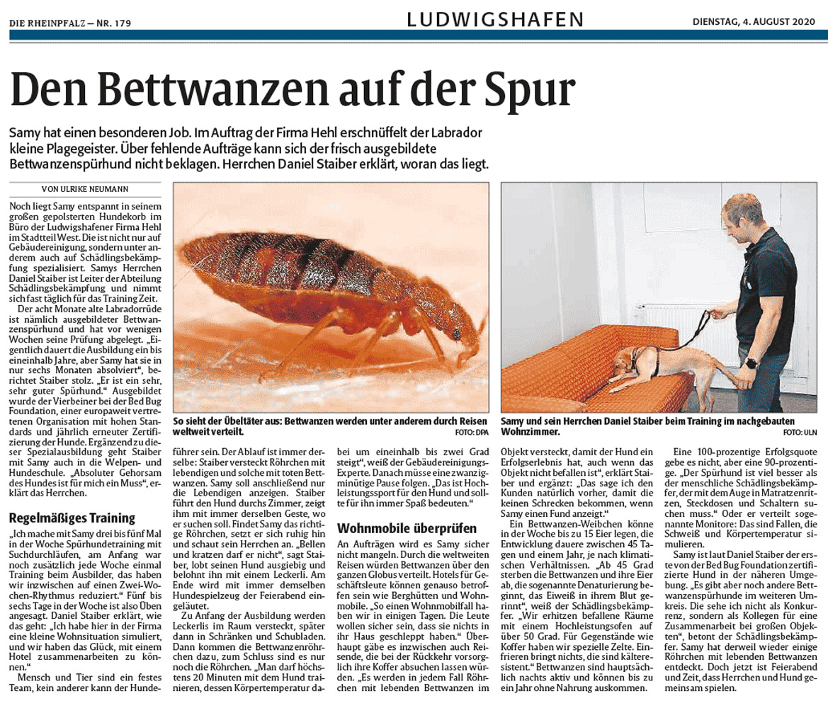 Bericht in der Rheinpfalz vom 04.08.2020 Bericht in der Rheinpfalz vom 04.08.2020