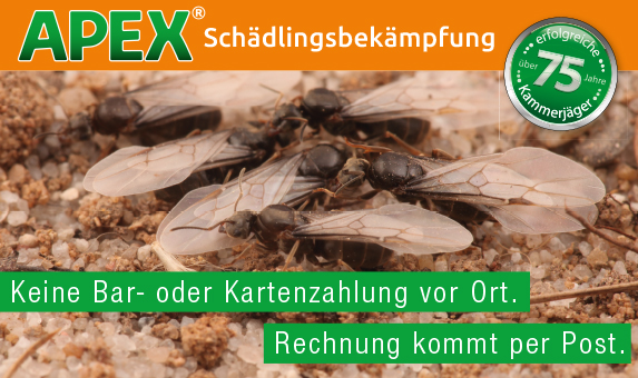 APEX Schädlingsbekämpfung