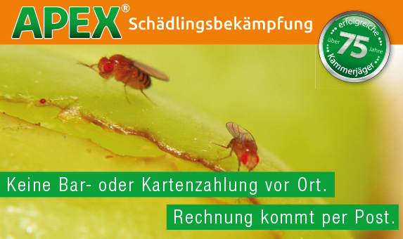 APEX Schädlingsbekämpfung