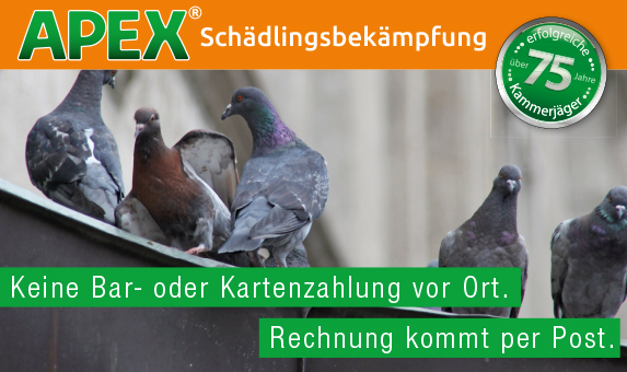 APEX Schädlingsbekämpfung