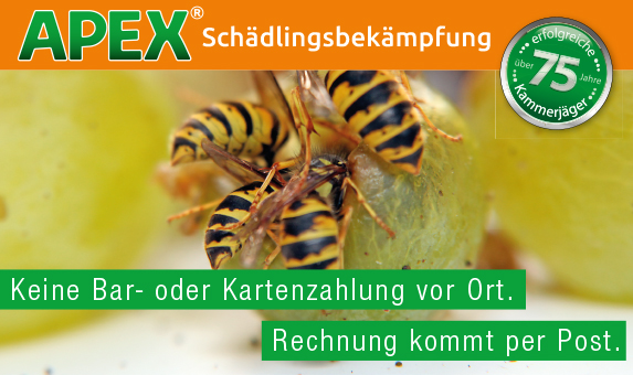 Bild 10 APEX Schädlingsbekämpfung in Heidelberg