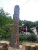 Kundenbild klein 2 Baumdienst Kronenprinz