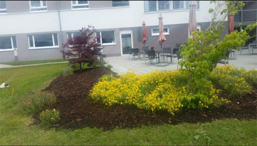 Kundenfoto 2 Schmidt Hausmeisterservice