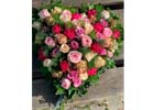 Lokale Empfehlung Neuwinger Jutta Blatt und Blüte Floristikgeschäft