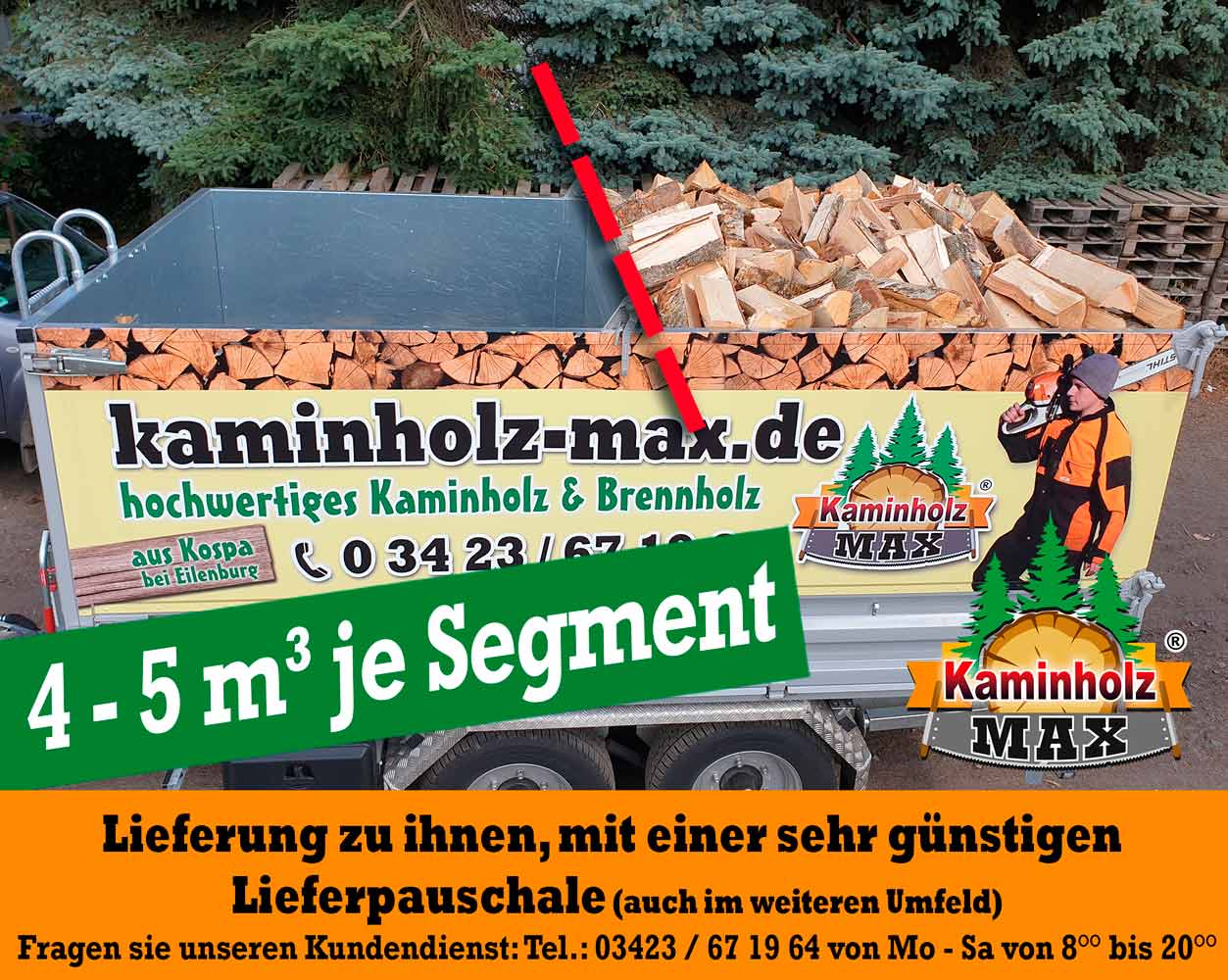 Bild 1 Kaminholz Max ® in Eilenburg
