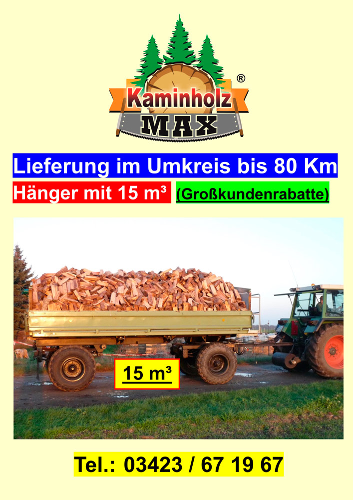 Bild 16 Kaminholz Max ® in Eilenburg