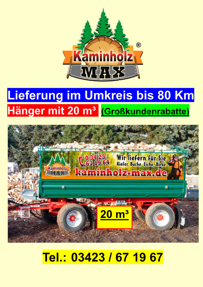 Bild 19 Kaminholz Max ® in Eilenburg