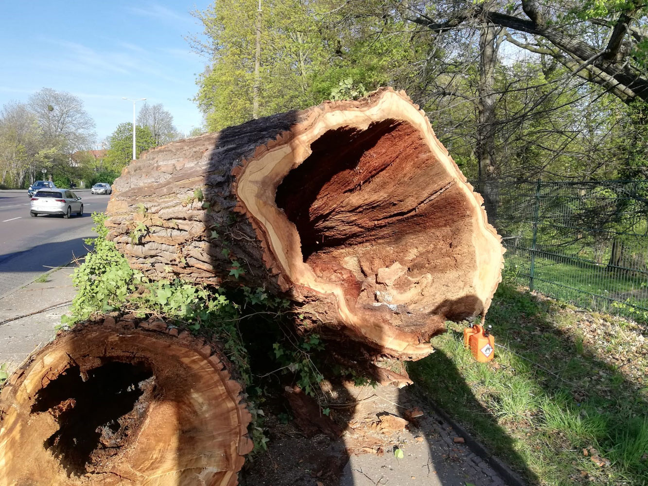Bild 2 Kahmann Forstbetrieb in Rackwitz