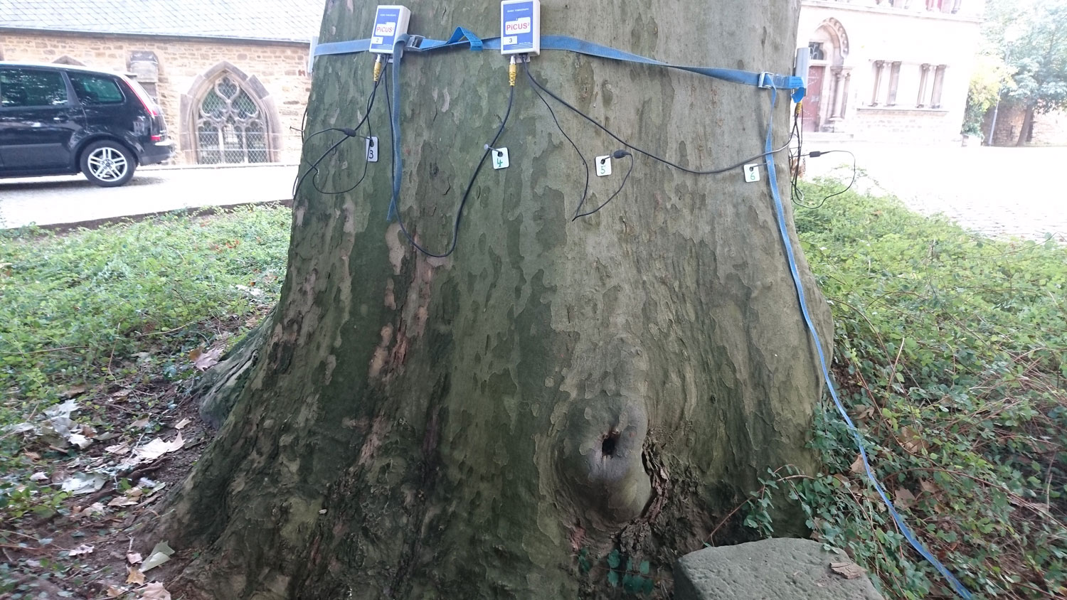 Bild 3 Kahmann Forstbetrieb in Rackwitz