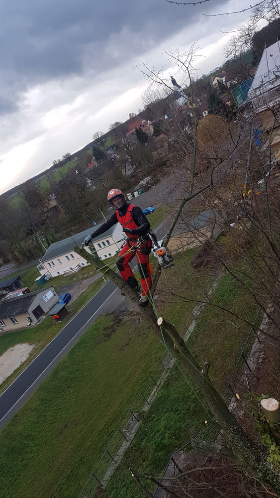 Bild 5 Kahmann Forstbetrieb in Rackwitz