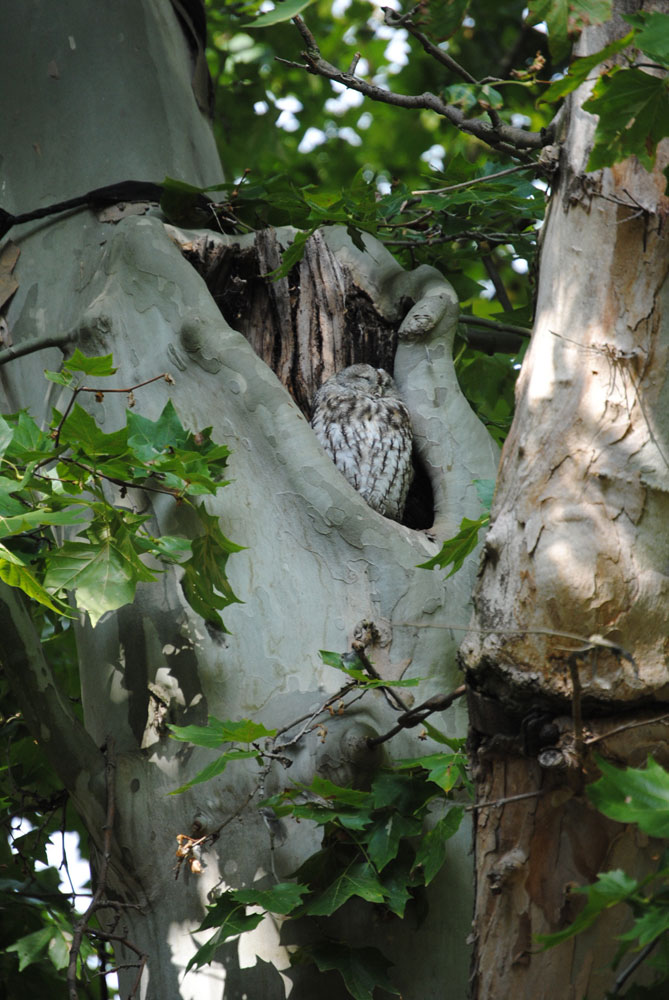 Bild 7 Kahmann Forstbetrieb in Rackwitz