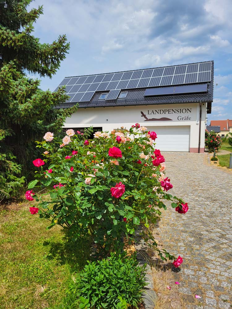 Bild 2 Gräfe in Nischwitz