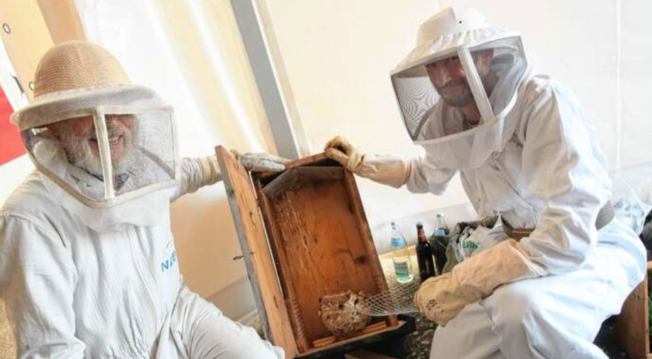 Bild 3 SKS Schädlingsbekämpfung Sackmann in Rust