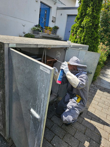 Bild 3 PESTZONE Schädlingsbekämpfung in Pforzheim