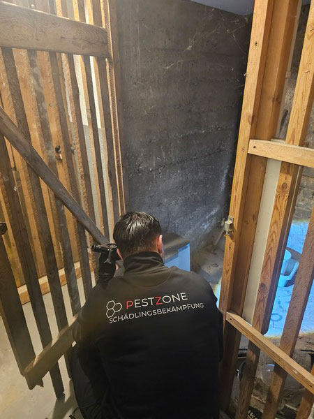 Bild 4 PESTZONE Schädlingsbekämpfung in Pforzheim