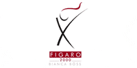 Kundenlogo Figaro 2000 Inh. Bianca Böss