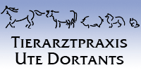 Kundenlogo Dortants Ute