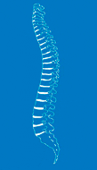 Praxis für Orthopädie und Unfallchirurgie in Rastatt - Logo