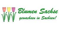 Kundenlogo Blumen Sachse, Manfred Sachse Gärtnerei und Blumenfachgeschäft