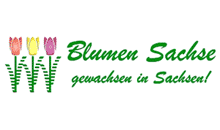 Kundenlogo von Blumen Sachse, Manfred Sachse Gärtnerei und Blumenfachgeschäft