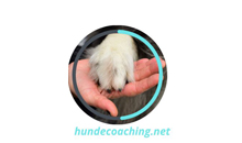 Kundenlogo von Hundecoaching Manuela Henschke Kundenlogo von Hundecoaching Manuela Henschke