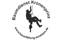 Kundenlogo von Baumdienst Kronenprinz