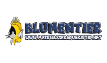 Kundenlogo von Blumentier Meerwasseraquristik